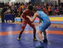 BT2019-73