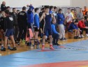 IMG_0141