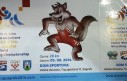 2014-08-03 10.53.02