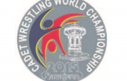 SP Kadeti Sarajevo 2015 logo