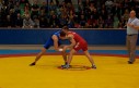 VIND-SKR-20140216