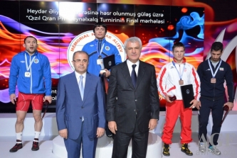 20131122 - Baku-GoldenGP2013-02