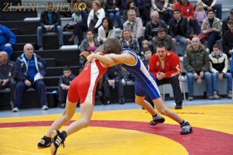 zp_2012